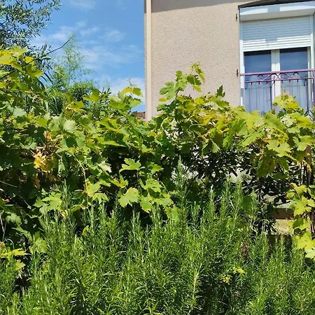 Maison Les Cigales *